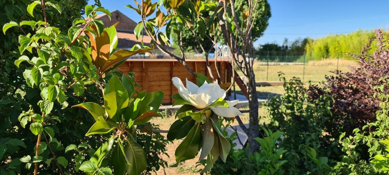 Mas Gabelys Superbe Vue Sainte Victoire Jardin Terrasse Et Piscine Leilighet Trets Eksteriør bilde